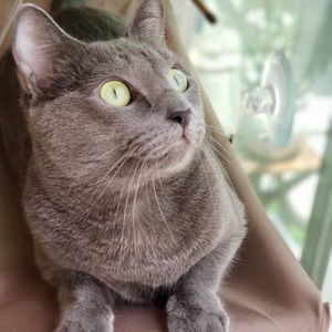 Meet your Posher, Bethany